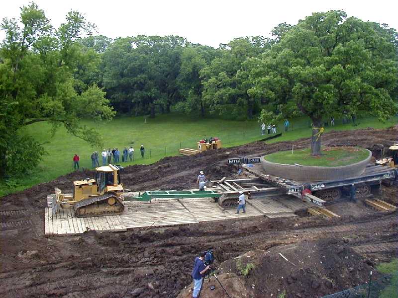 transplantation of a very big tree ...