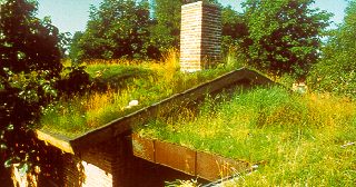 green roof
