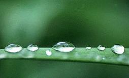 contrapicture silent street